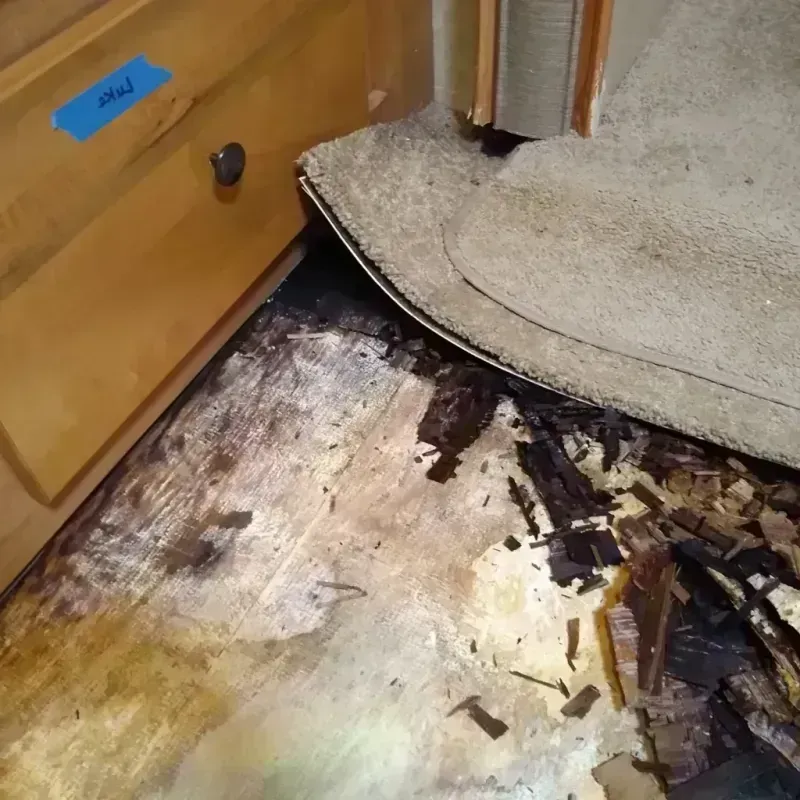 Wood Floor Water Damage in Cheboygan, MI